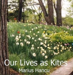 Cover of the book Our Lives as Kites by Dr. Patrick ODougherty