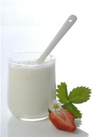 Book cover of Making Yogurt For Beginners