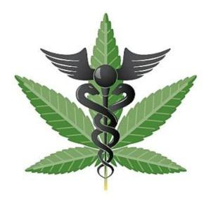 Cover of the book Getting a Medical Marijuana Card by J. T. Garrett