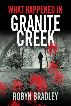 Cover of the book What Happened in Granite Creek by Ana Night