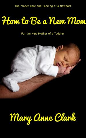 Cover of the book How to Be a New Mom: Baby Care for the New Mother of a Toddler by David Beck