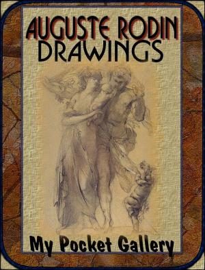Book cover of Auguste Rodin