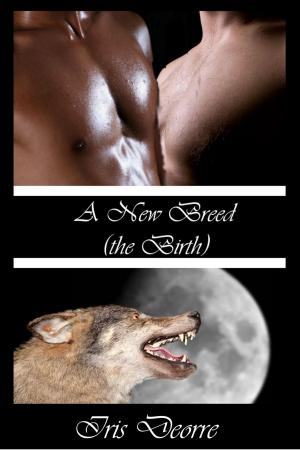 Cover of the book The Birth by Iris Deorre