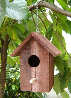 Cover of the book How To Build Bird Houses: A Guide For Beginners by Shane Wahlberg