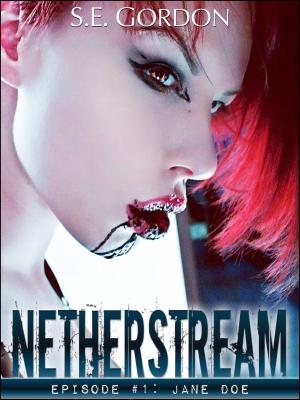 Book cover of Netherstream - Episode 1: Jane Doe