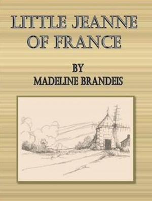 Book cover of Little Jeanne of France