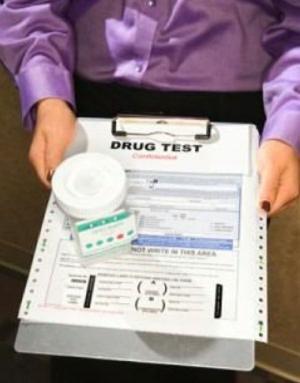 Cover of the book How to Pass a Drug Test by Alvin Christan