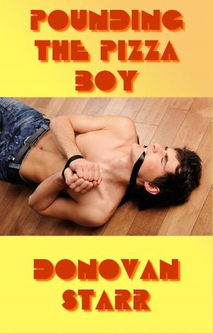 Cover of the book Pounding the Pizza Boy by Donovan Starr
