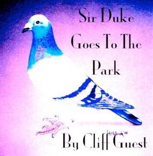 Cover of the book Sir Duke Goes To The Park by heidi jacobsen, cliff guest