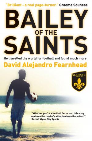 Cover of the book Bailey of the Saints by David Warner