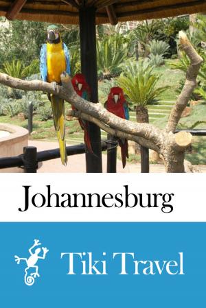 Cover of the book Johannesburg (South africa) Travel Guide - Tiki Travel by Alistair Lyne