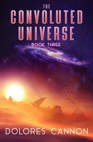 Cover of the book The Convoluted Universe: Book Three by Maria Wheatley