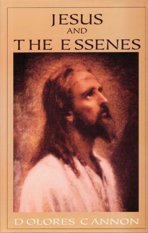 Cover of the book Jesus and the Essenes by Kathryn Andries