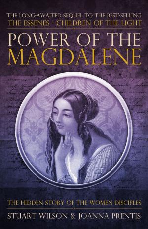 Book cover of Power of the Magdalene