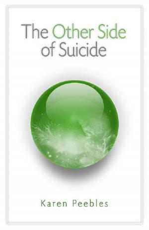 Cover of the book The Other Side of Suicide by Kathryn & Patrick Andries