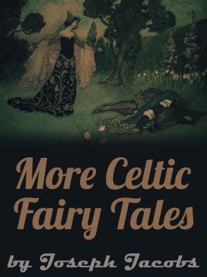 Cover of the book More Celtic Fairy Tales by Euripides