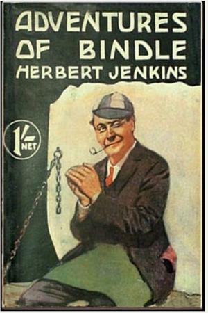 Cover of the book Adventures of Bindle by Irving S. Cobb