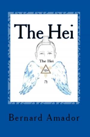 Book cover of The Hei