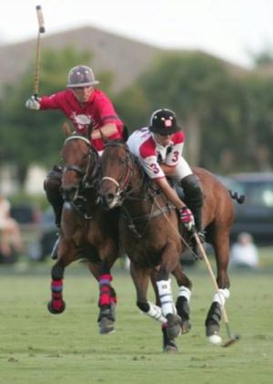 Cover of How to Play Polo