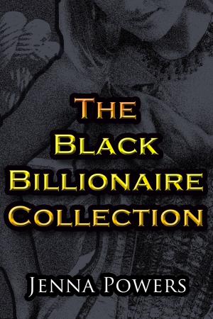 Cover of the book The Black Billionaire Collection by SR Silcox