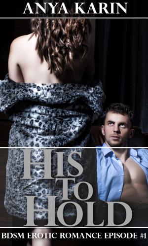 Cover of His to Hold (BDSM billionaire erotic romance)