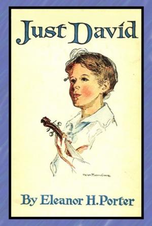 Cover of the book Just David by Margaret Sidney, Alice Barbar Stephens (Illustrator)