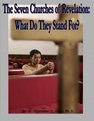 Cover of the book The Seven Churches of Revelation:What Do They Stand For? by Richard T. Adams II