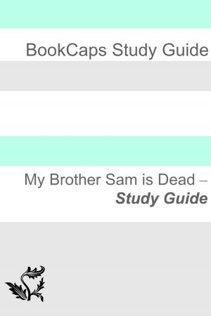Cover of the book Study Guide: My Brother Sam Is Dead by KidCaps