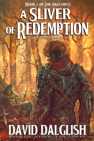 bigCover of the book A Sliver of Redemption by 