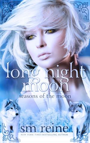 bigCover of the book Long Night Moon by 