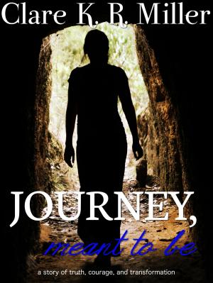 Cover of the book Journey, Meant to Be by Charles Prepolec, J. R. Campbell