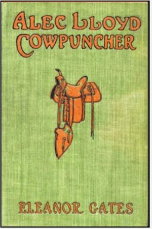 Cover of the book Alec Lloyd, Cowpuncher by Robert Welles Ritchie