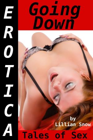Cover of the book Erotica: Going Down, Tales of Sex by E. Z. Lay