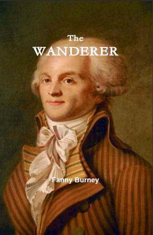 bigCover of the book The Wanderer by 