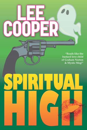 Cover of the book Spiritual High by William L. DeAndrea