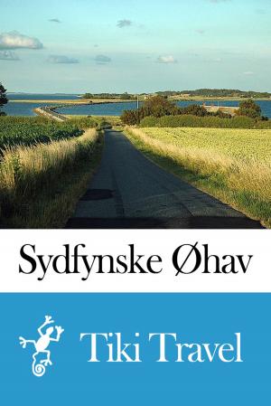 Book cover of Sydfynske Øhav (Denmark) Travel Guide - Tiki Travel