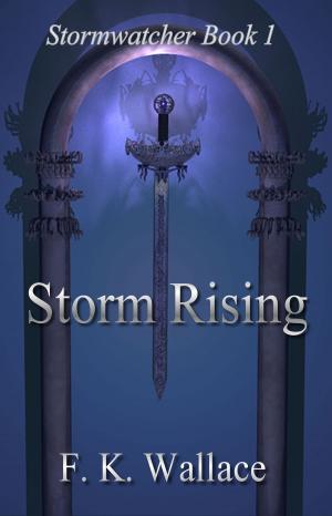 bigCover of the book Storm Rising by 