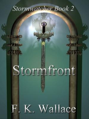 Cover of the book Stormfront by CP Bialois