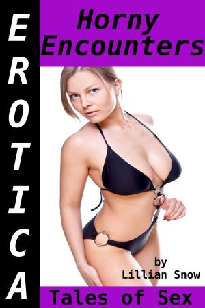 Cover of the book Erotica: Horny Encounters, Tales of Sex by Misty Vixen