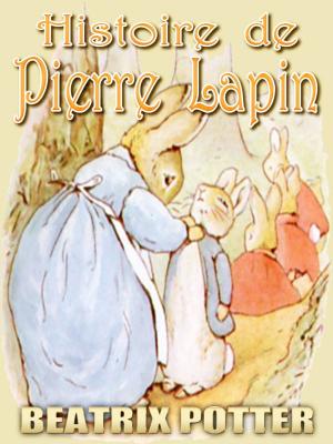 Cover of the book Histoire de Pierre Lapin by MARK TWAIN