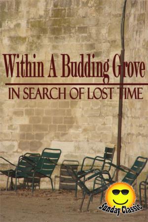 bigCover of the book Within A Budding Grove - In Search of Lost Time : Volume #2 by 