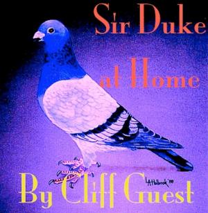 Book cover of Sir Duke at Home