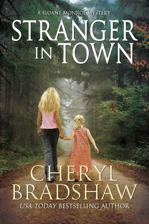 Book cover of Stranger in Town