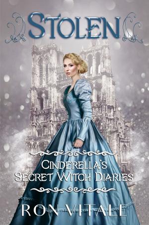 Cover of the book Stolen by Cege Smith