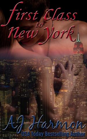 Cover of the book First Class to New York by Leigh Greenwood