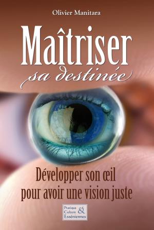 Cover of the book Maîtriser sa destinée by Irene Jorgensen