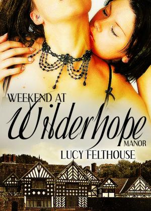 Book cover of Weekend at Wilderhope Manor
