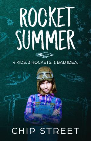 Cover of the book Rocket Summer by Phil Callaway