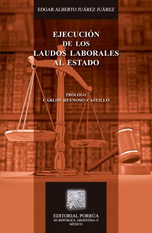 Cover of the book Ejecución de los laudos laborales al Estado by Fernando Castellanos