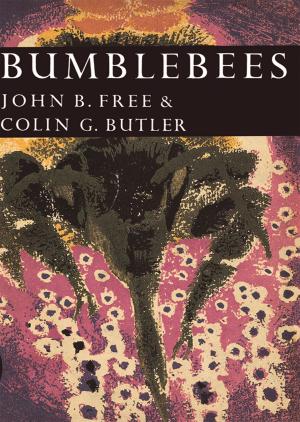 Cover of Bumblebees (Collins New Naturalist Library, Book 40)